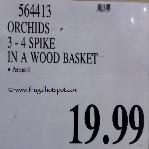 Costco Flowers | Orchids in Wood Basket | Price