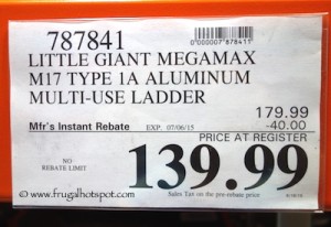 costco giant dinosaur