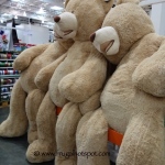 93" Jumbo Bear Costco