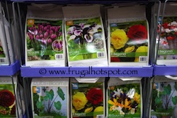 Bulbs & Blooms Spring Bulb Assortment Costco