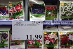 Bulbs & Blooms Spring Bulb Assortment Costco