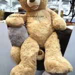53" Plush Teddy Bear Costco