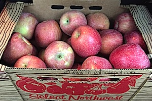 Lattin's Country Cider Mill and Farm Apples