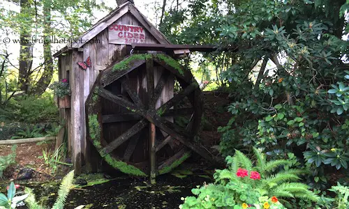 Lattin's Country Cider Mill and Farm