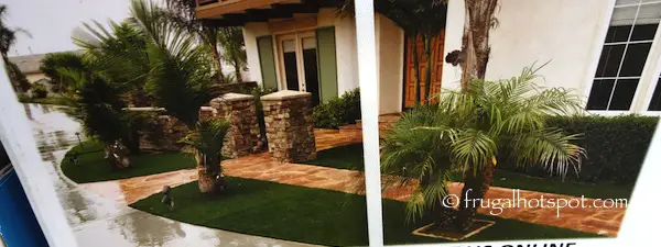 PreGra FesCue Artificial Grass Turf 3.75' x 12' Costco | Frugal Hotspot