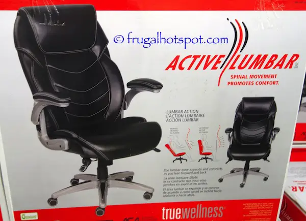 True Innovations True Wellness Active Lumbar Chair Costco | Frugal Hotspot