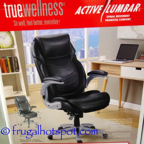 True Innovations True Wellness Active Lumbar Chair Costco | Frugal Hotspot