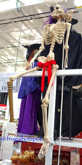 Pose-n-Stay Pirate Skeleton with Parrot Costco | Frugal Hotspot