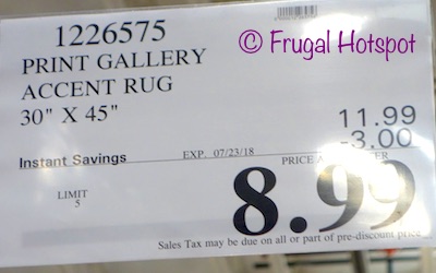 Costco Sale Price: Print Gallery Accent Rug 30 inch x 45 inch