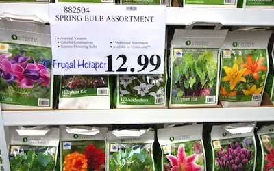 Spring Bulb Assortment  (Item #882504) at Costco