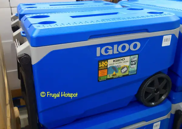 cooler igloo costco