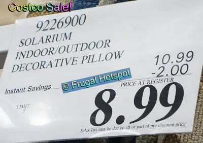 Solarium Indoor Outdoor Decorative Pillow | Costco Sale Price | Item 9226900