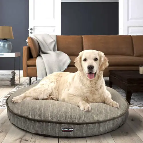 costco square dog bed