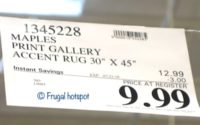 Print Gallery Accent Rug Costco Sale Price