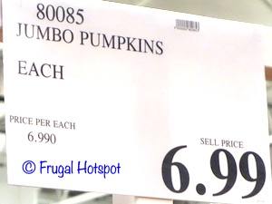 Jumbo Pumpkin Costco Price