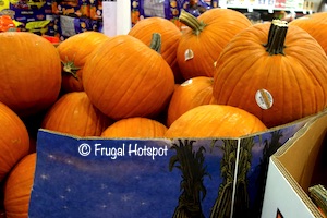Jumbo Pumpkin Costco