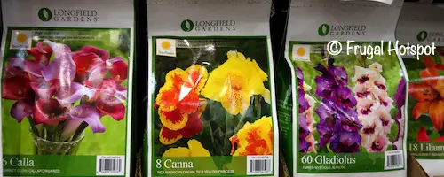 Longfield Gardens Spring Bulb Assortment Costco