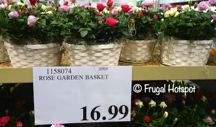 Rose Garden Basket Costco