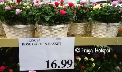 Rose Garden Basket Costco Rose Garden Basket Costco