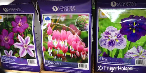 Spring Perennial Assortment Costco