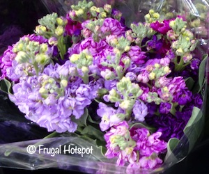 Deluxe Garden Bunch Costco (Item 970125) Deluxe Garden Bunch Costco (Item 970125)