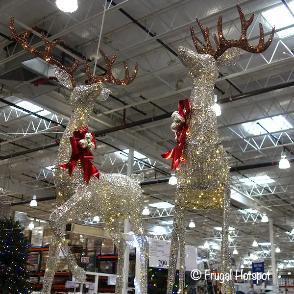 Set of 2 Lighted Deer 2020 | Costco Display