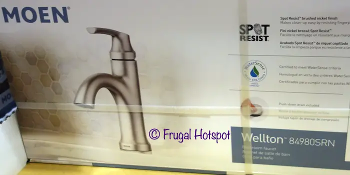 Moen Wellton Single Handle Bathroom Faucet | Costco