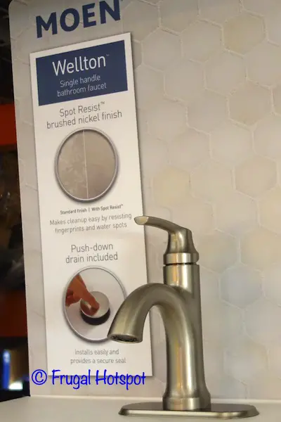 Moen Wellton Single Handle Bathroom Faucet Side View | Costco Display