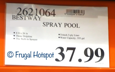 Bestway H20Go! Underwater Oasis Spray Pool | Costco Price