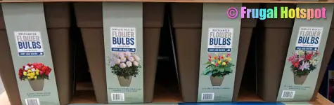 Preplanted Flower Bulbs in Planter | Costco