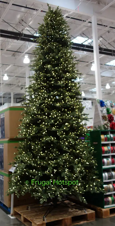 Costco Christmas Tree