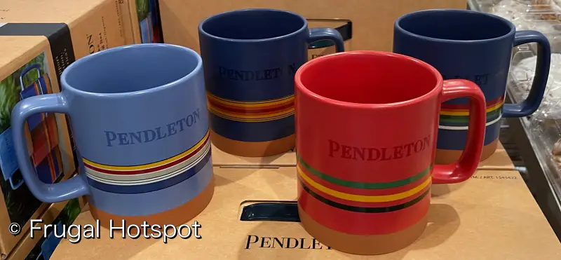 Pendleton National Parks Collectable Mug Set | top view | Costco