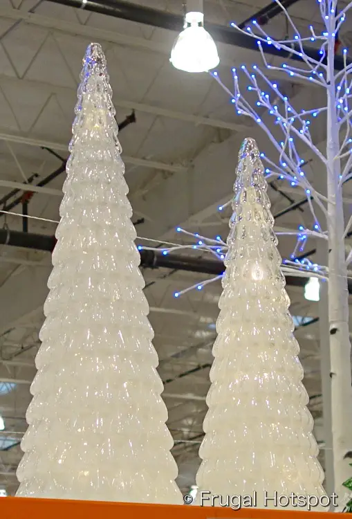 LED Glass Trees | Costco Display