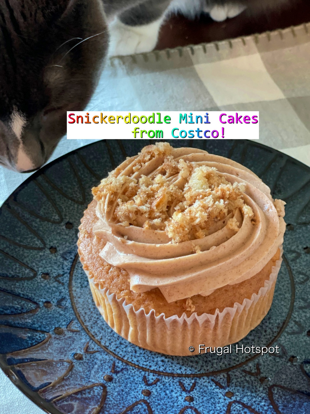 Snickerdoodle Mini Cakes from Costco | Kirkland Signature | why is there a cat