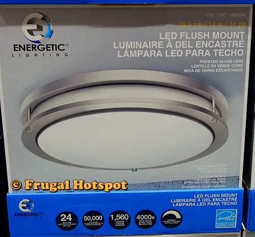 Energetic Lighting 14 Flushmount Ceiling Light | Costco