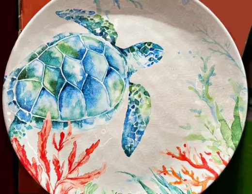 Sea Turtle Salad Plate | Costco