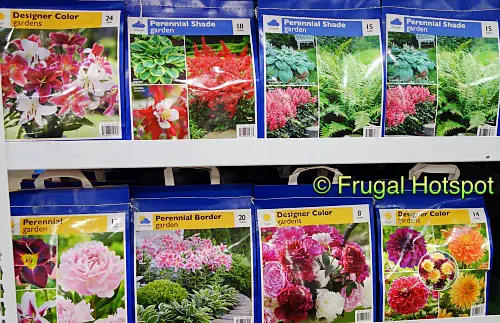 Spring Assortment Bulbs and Perennials | Costco