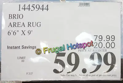 Brio Area Rug 6'6 x 9' | Costco Sale Price