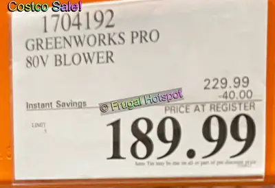 Greenworks Pro Jet Blower | Costco 1704192