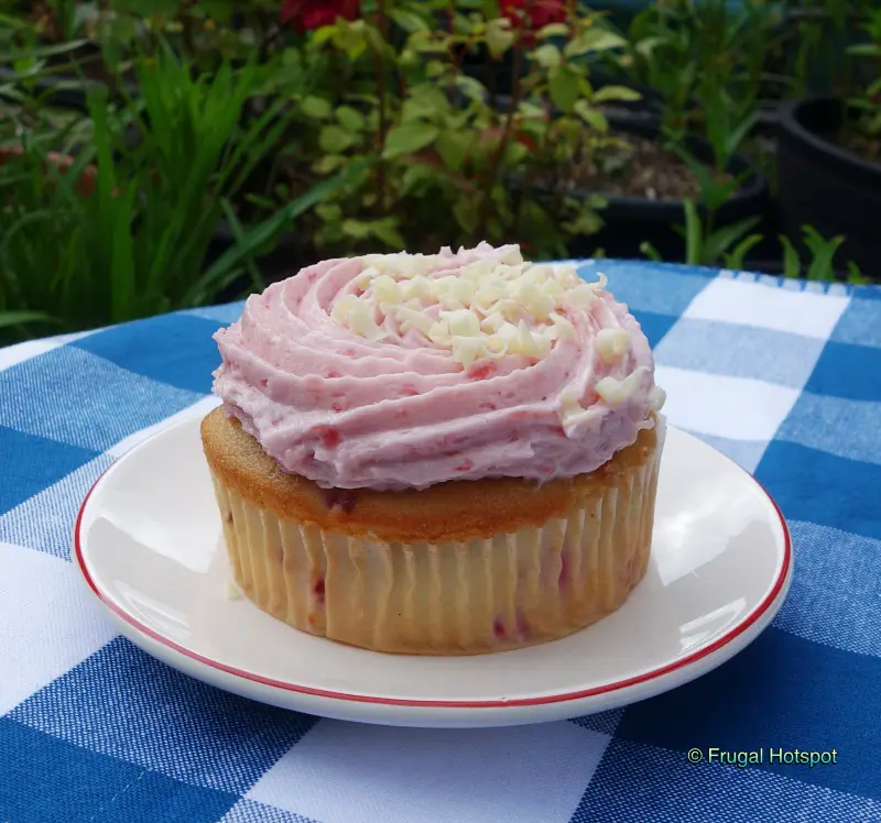 Mini Raspberry Cakes with garden background | Costco