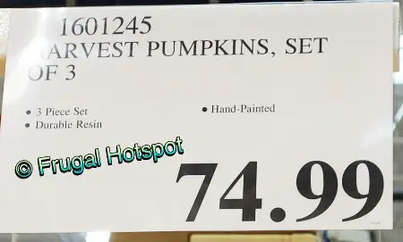 Harvest Pumpkins 3-Piece Set | Costco Price