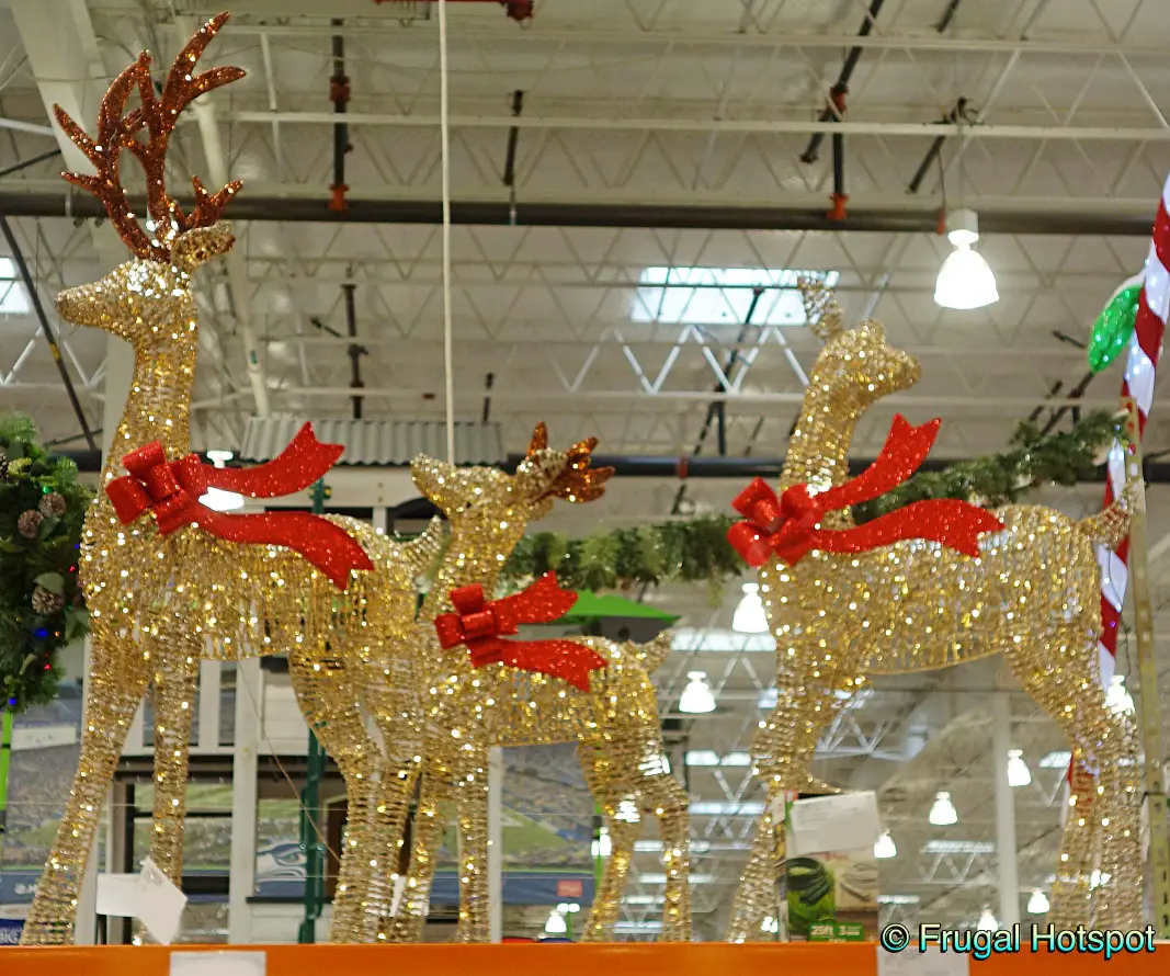 Deer Family Set of 3 with LED Lights | Costco Display