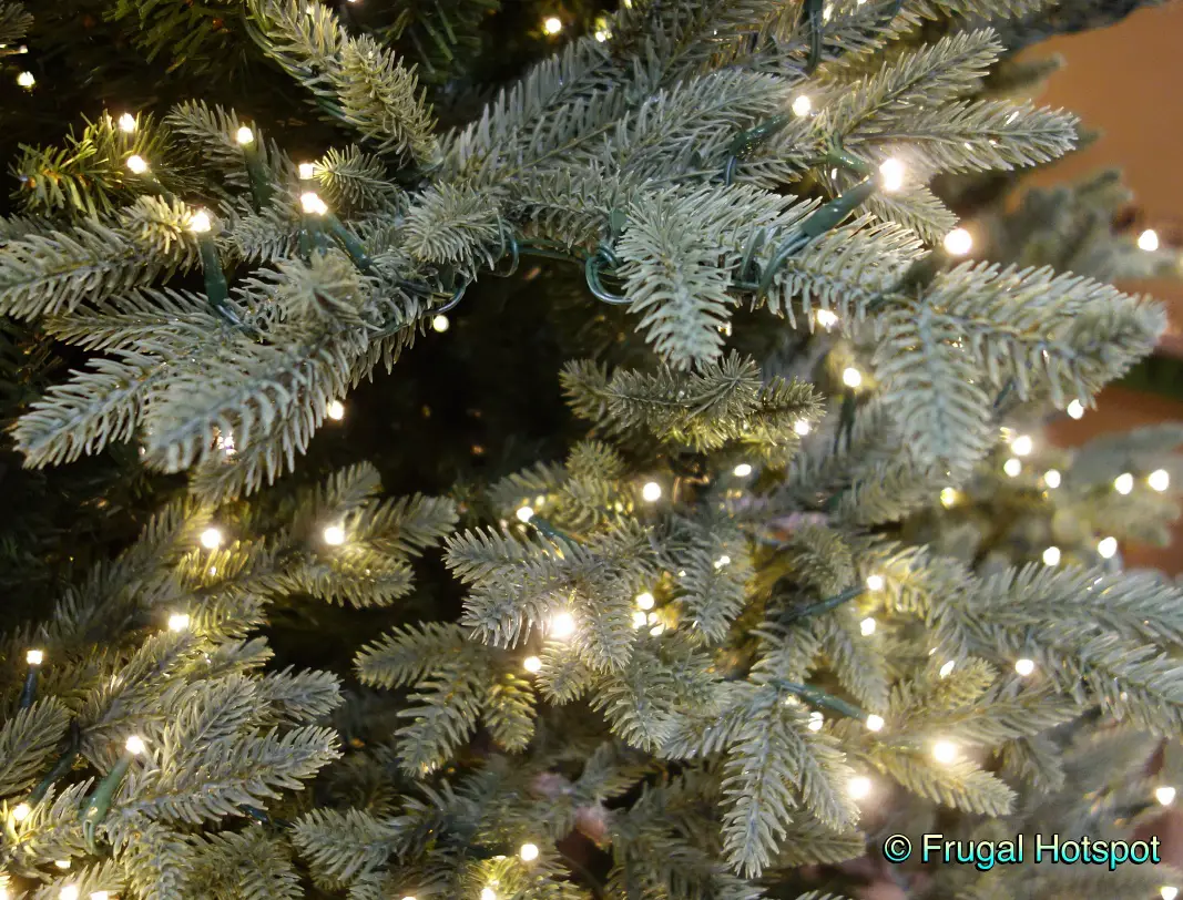 Forest Fresh tips | Costco Christmas Tree