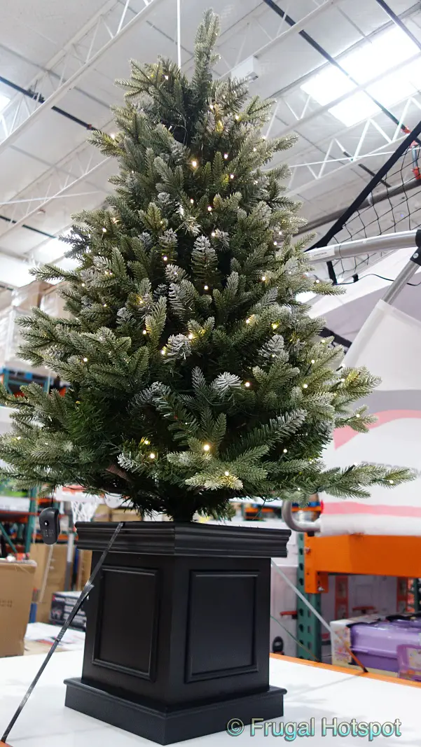 4.5 Ft. Pre-Lit Artificial Potted Tree | Costco Display