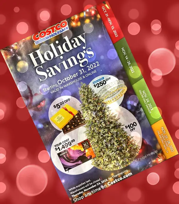 Costco Black Friday and Holiday Savings Coupon Book | Cover with background