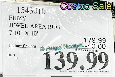 Feizy Jewel Area Rug 7 ft 10 in by 10 ft | Costco Sale Price