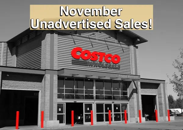 Costco Unadvertised Sales | November