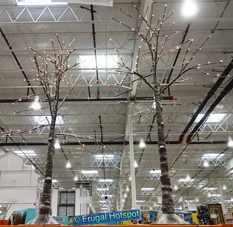 Set of 2 Flocked Birch Trees | Costco Display