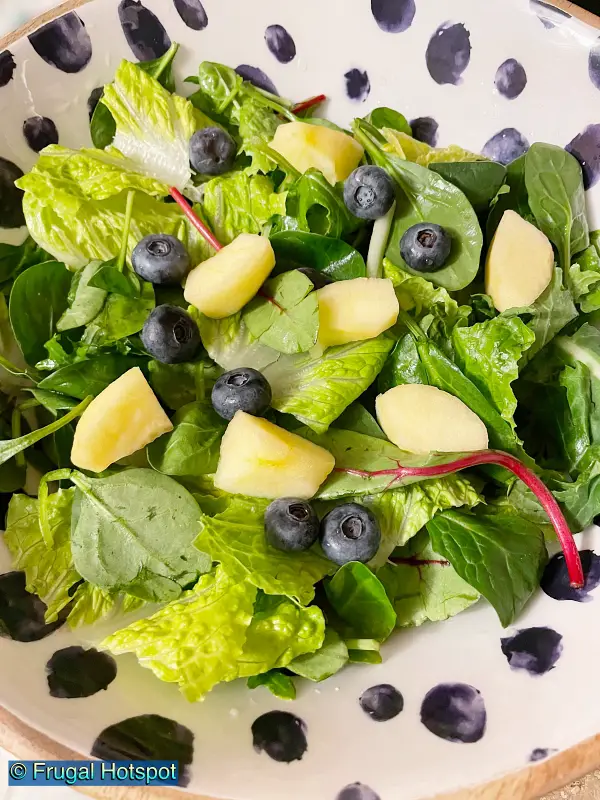 Mikasa Enameled Mango Wood Salad Bowl white with blue dots | Costco Item 1618206