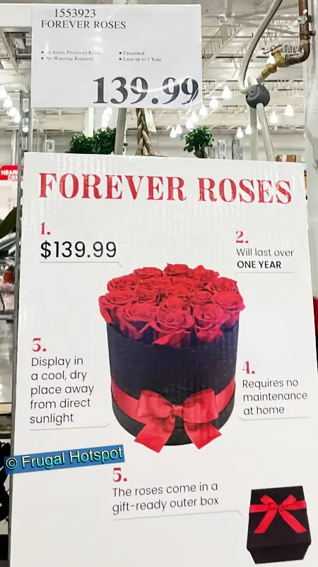 Forever Roses 16 Stem Preserved Roses | Costco